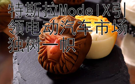 特斯拉ModelX引领电动汽车市场独树一帜