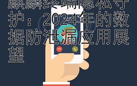 麒麟终端隐私守护：2024年的数据防泄漏应用展望