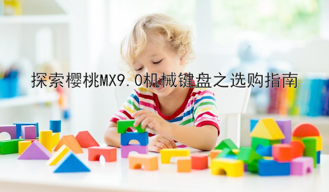 探索樱桃MX9.0机械键盘之选购指南