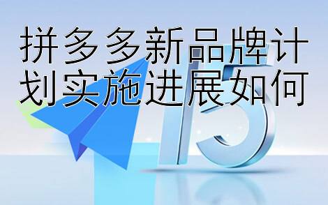 拼多多新品牌计划实施进展如何