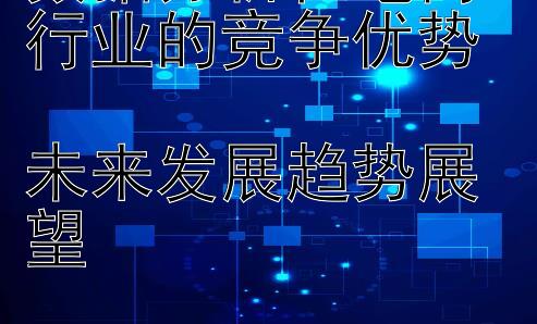 数据分析在电商行业的竞争优势  
未来发展趋势展望