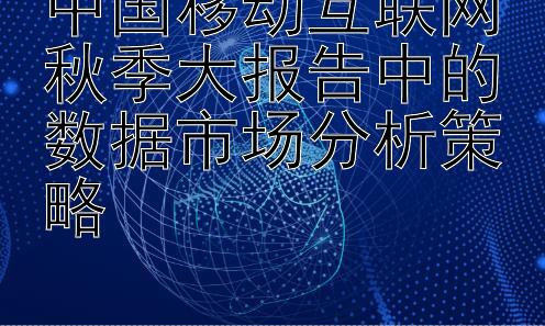 中国移动互联网秋季大报告中的数据市场分析策略